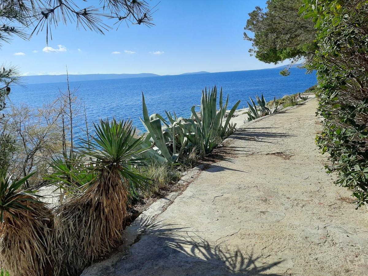 Apartma Ljulj Trogir